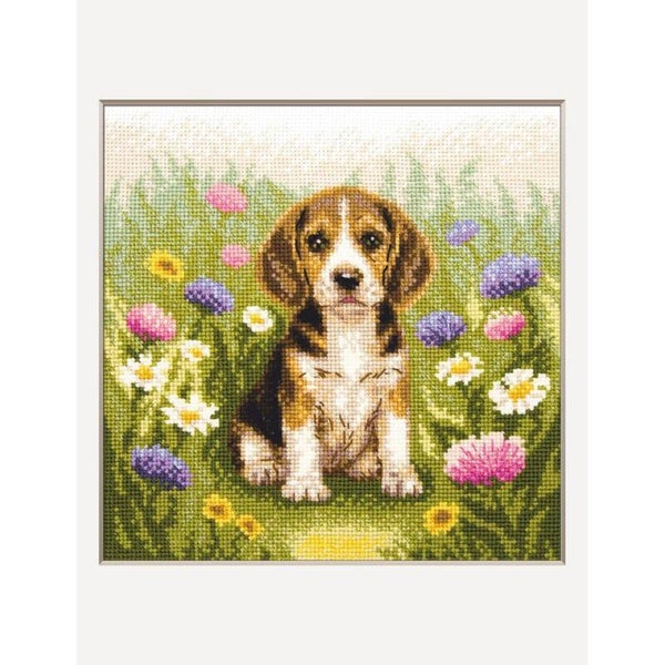 Meadow Pup