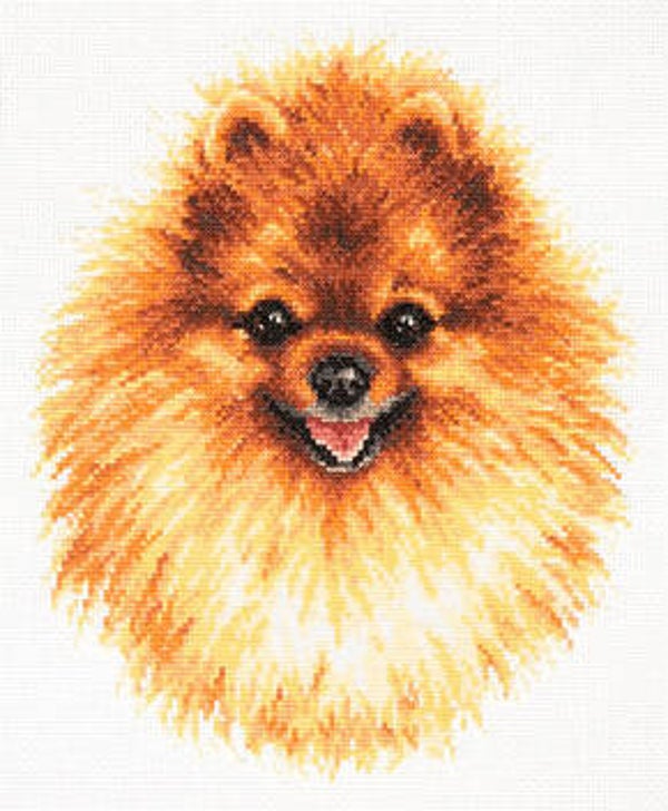 BORDUURPAKKET POMERANIAN