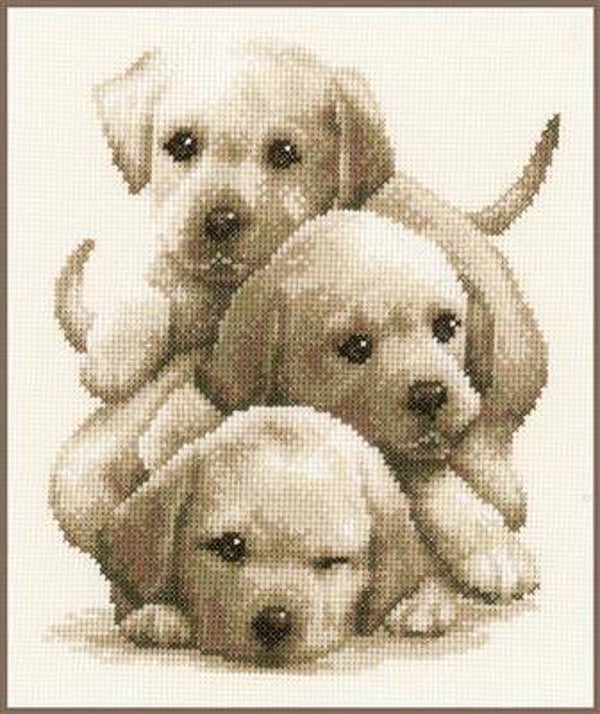 TELPAKKET KIT LABRADORPUPS