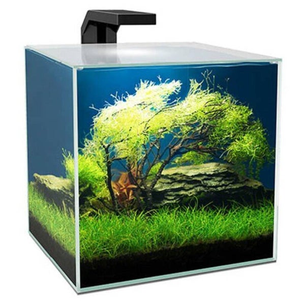 Aquário Ciano cube 15 LED