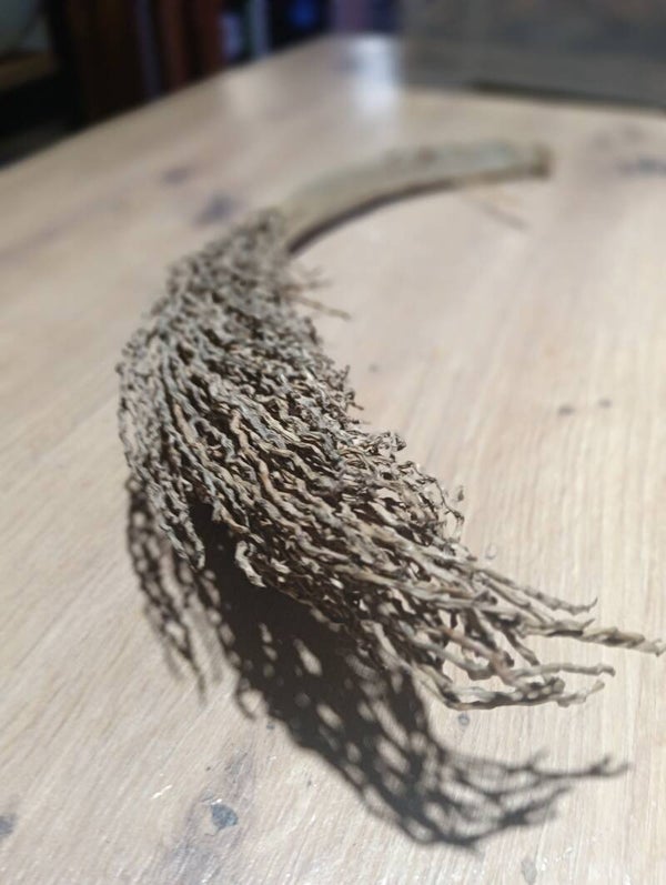 Broom Pod XL
