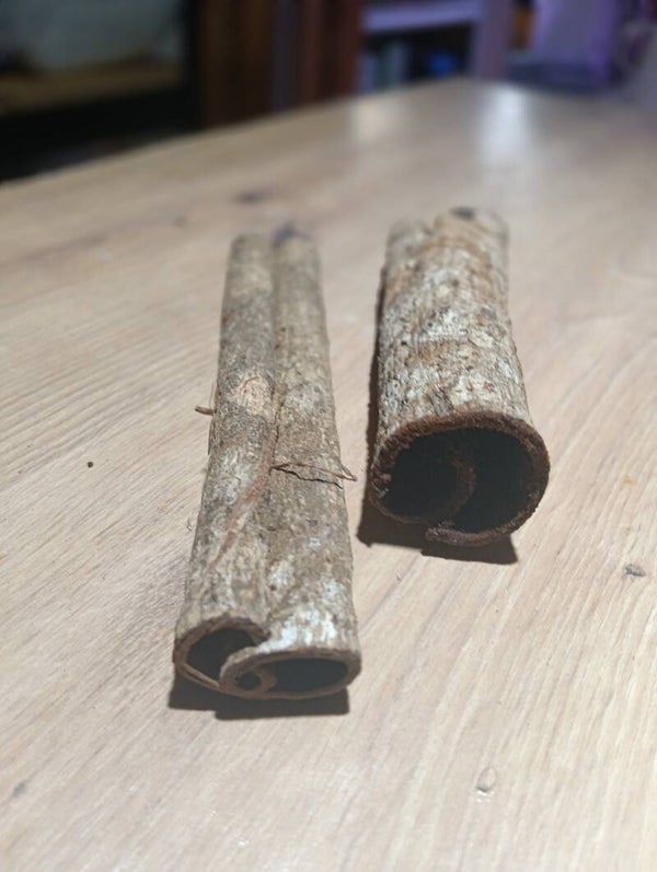 Catappa bark tubes 1x