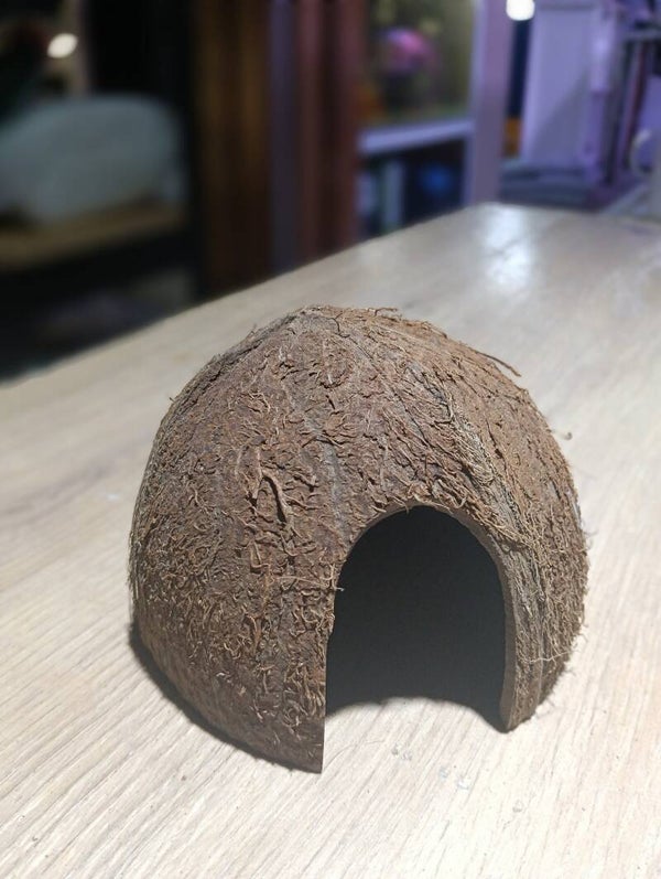 Meio coco abrigo