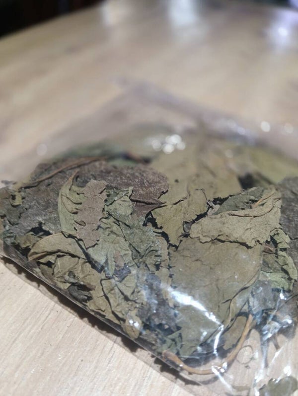 Pack folhas trituradas shrimpforever 20g