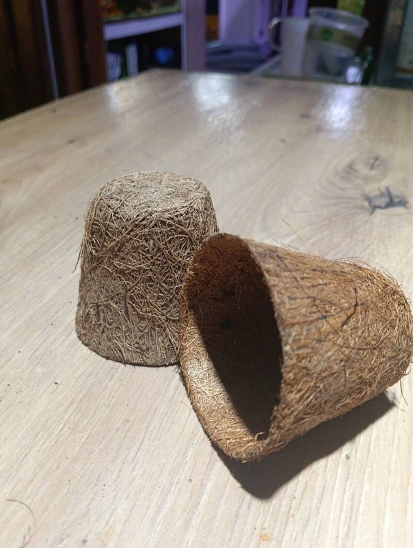 Vaso fibra de coco