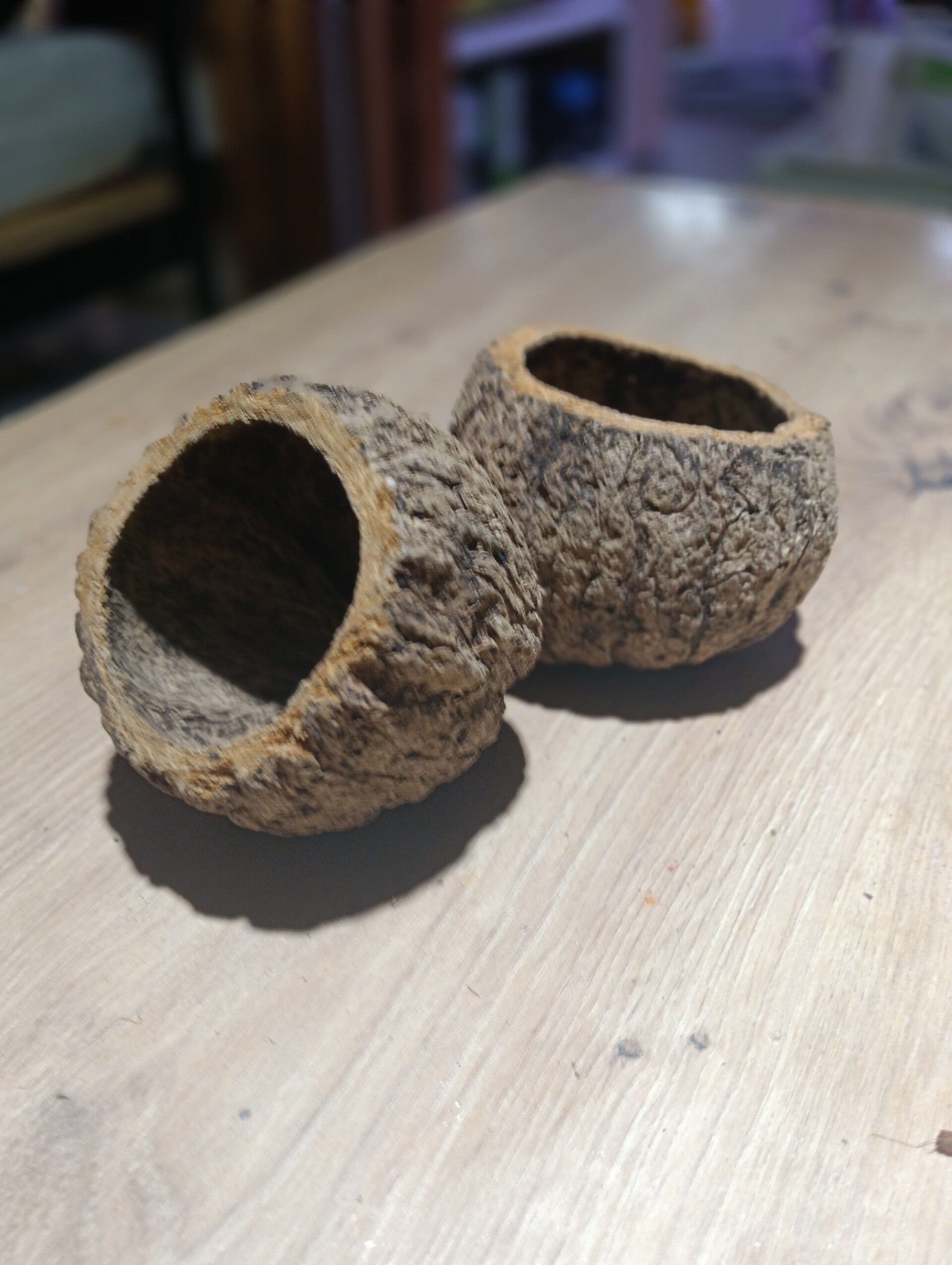 Casca de Noz do Brasil 1x