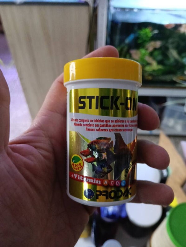 PRODAC Stick On Pastilhas de vidro 100mL (60g)