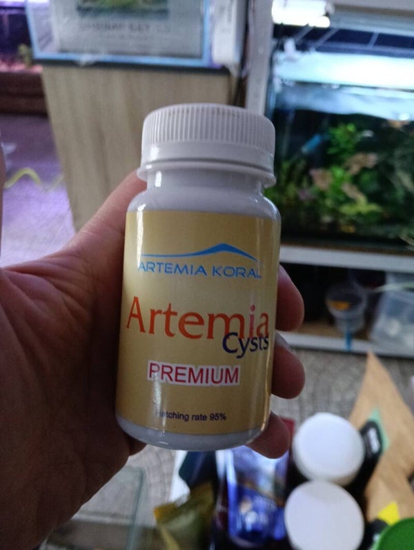 Artemia Koral premium Ovos 50g