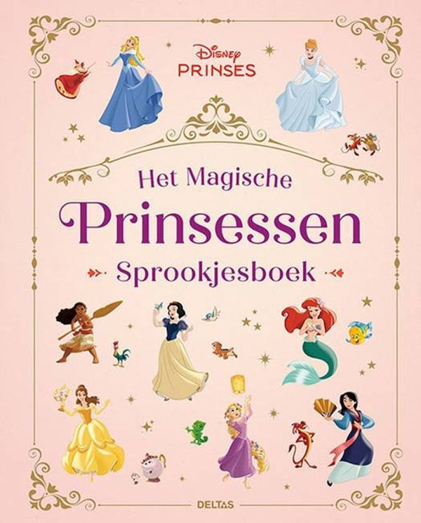 HET MAGISCHE PRINSESSEN SPROOKJESBOEK