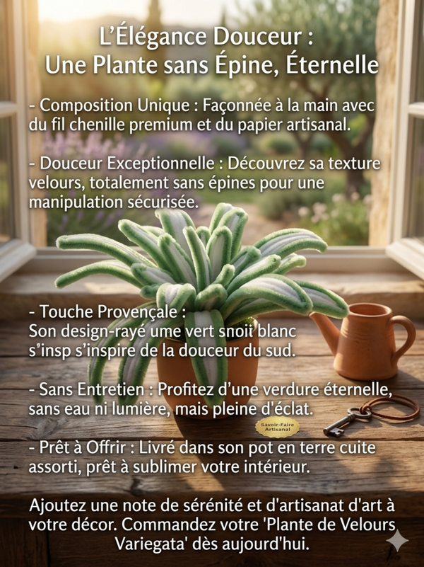 Plante gras