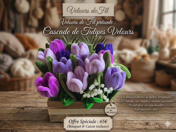 Tulipe