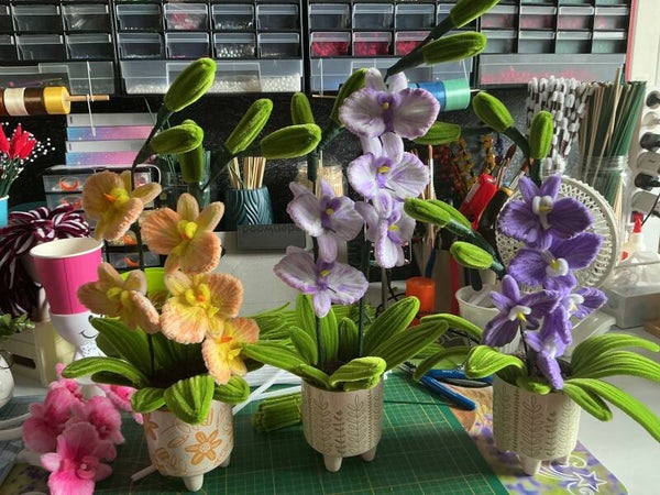 Orchidée