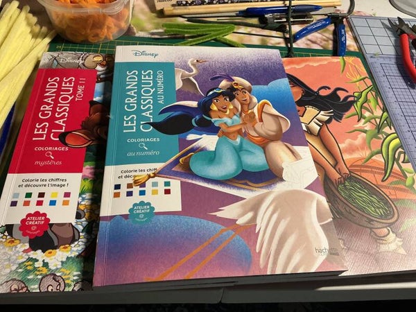 Livre de coloriage