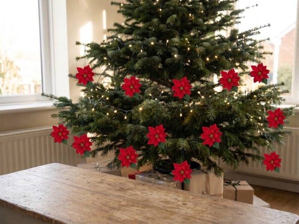 Fleur de Noël