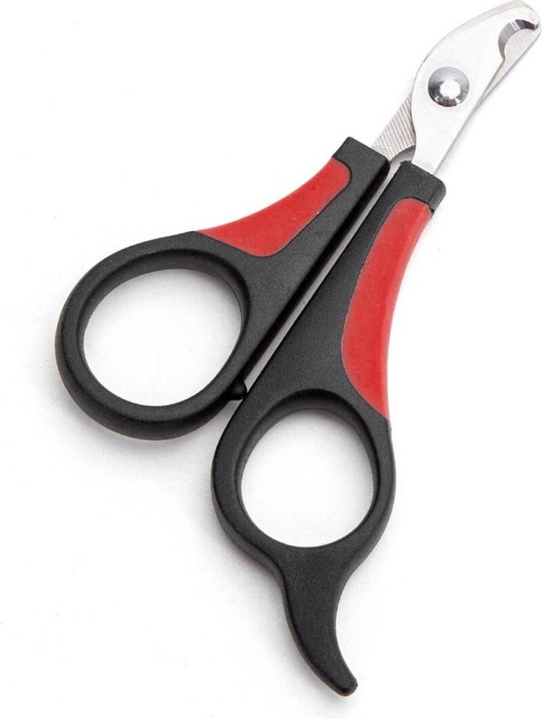 Nagelschaar