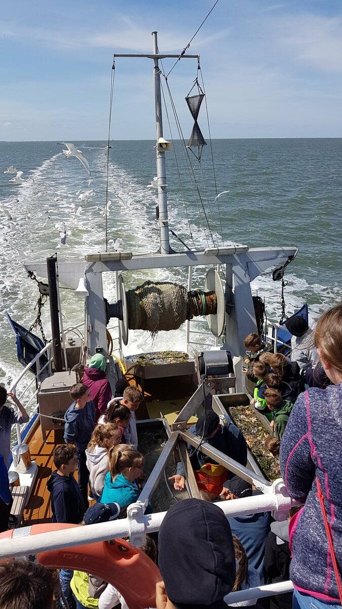 WL 35 Brakzand-1 amelandgangers