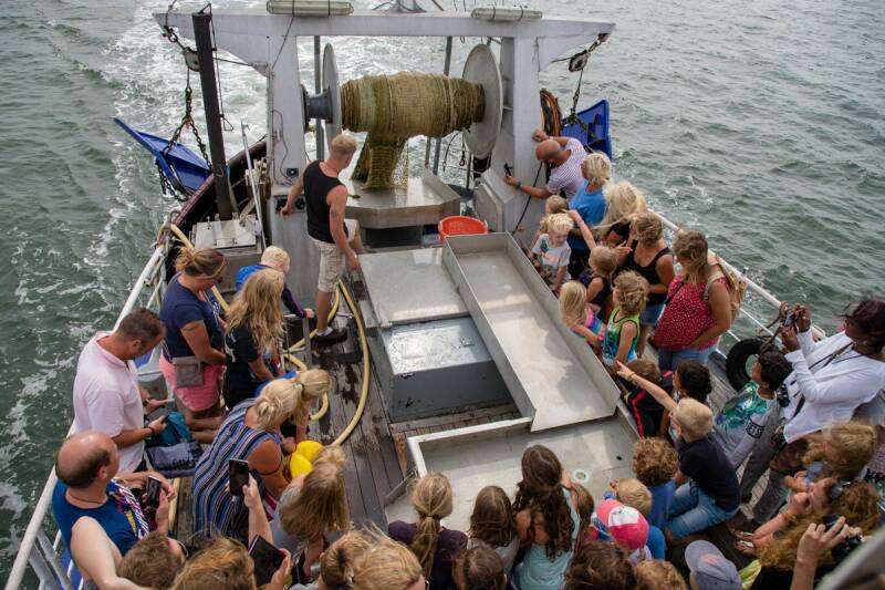 WL 35 Brakzand-3 amelandgangers