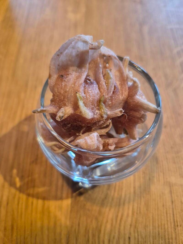 Fleur Hibiscus Séchée sucrée (déshydraté)