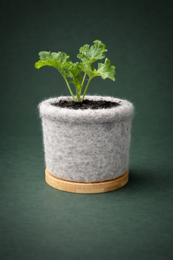 Bamboo saucers - small - medium