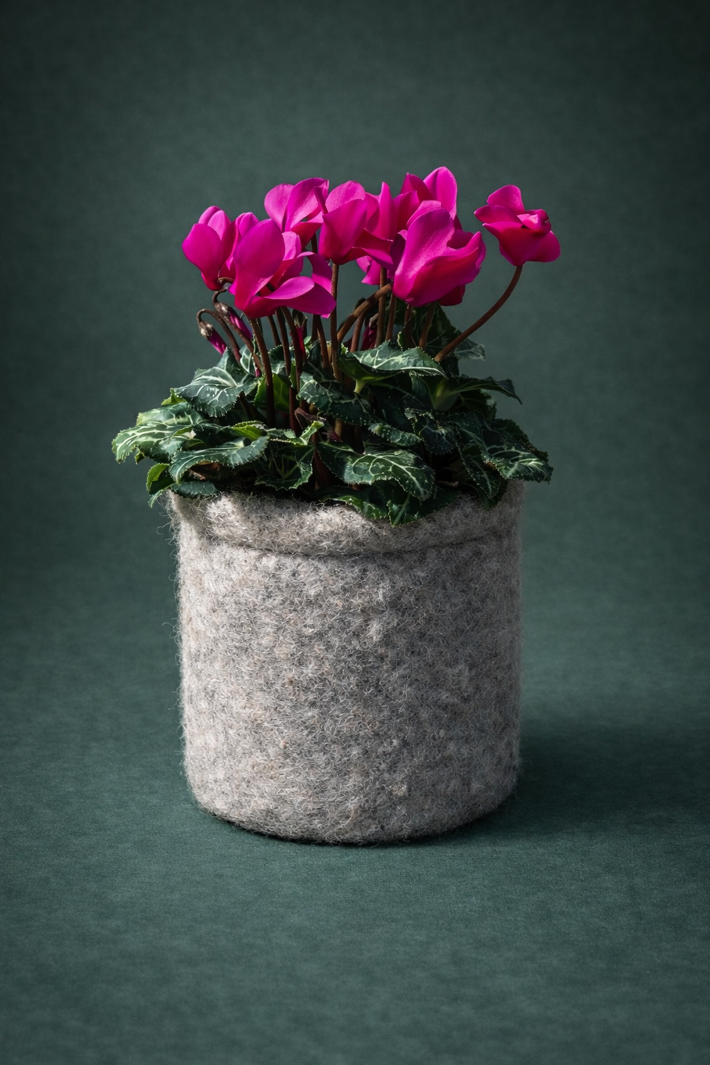 Woolly planter - medium (pack of 3)