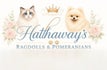Hathaway's Ragdolls and Pomeranians