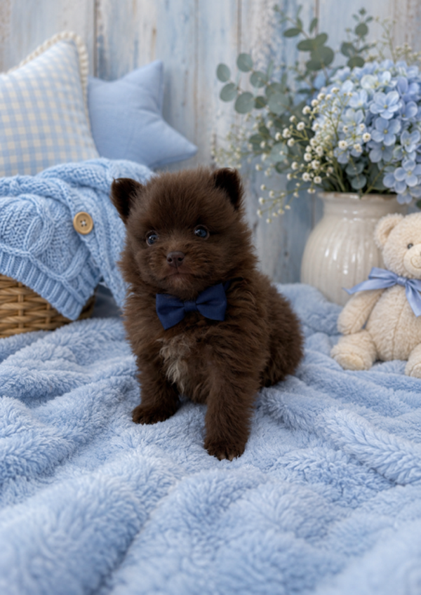 Un-Bear-ably Cute