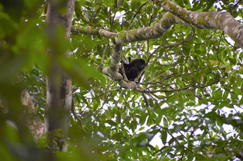 Manuel Antonio, Costa Rica