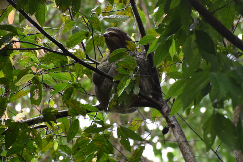 Manuel Antonio, Costa Rica