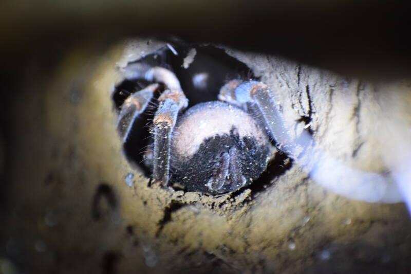 Monteverde, Costa Rica