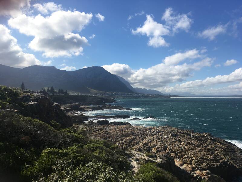 Hermanus, Zuid-Afrika, Fernkloof Nature Reserve Cliff Path