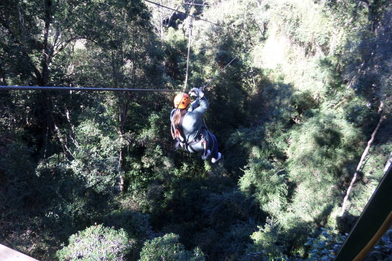 Canopty tsitsikamma national park, ziplinen