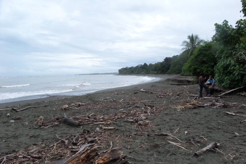 Corcovado national park, Costa Rica