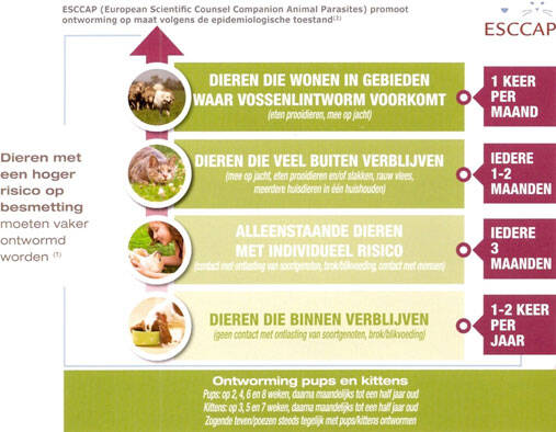 Frequentie van ontwormen bij honden en katten