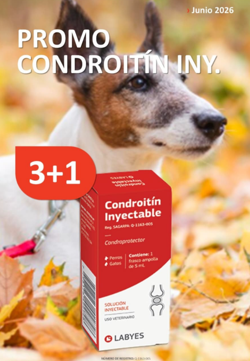 captura-de-pantalla-2026-06-02-a-la-s-10-16-34-standard.png