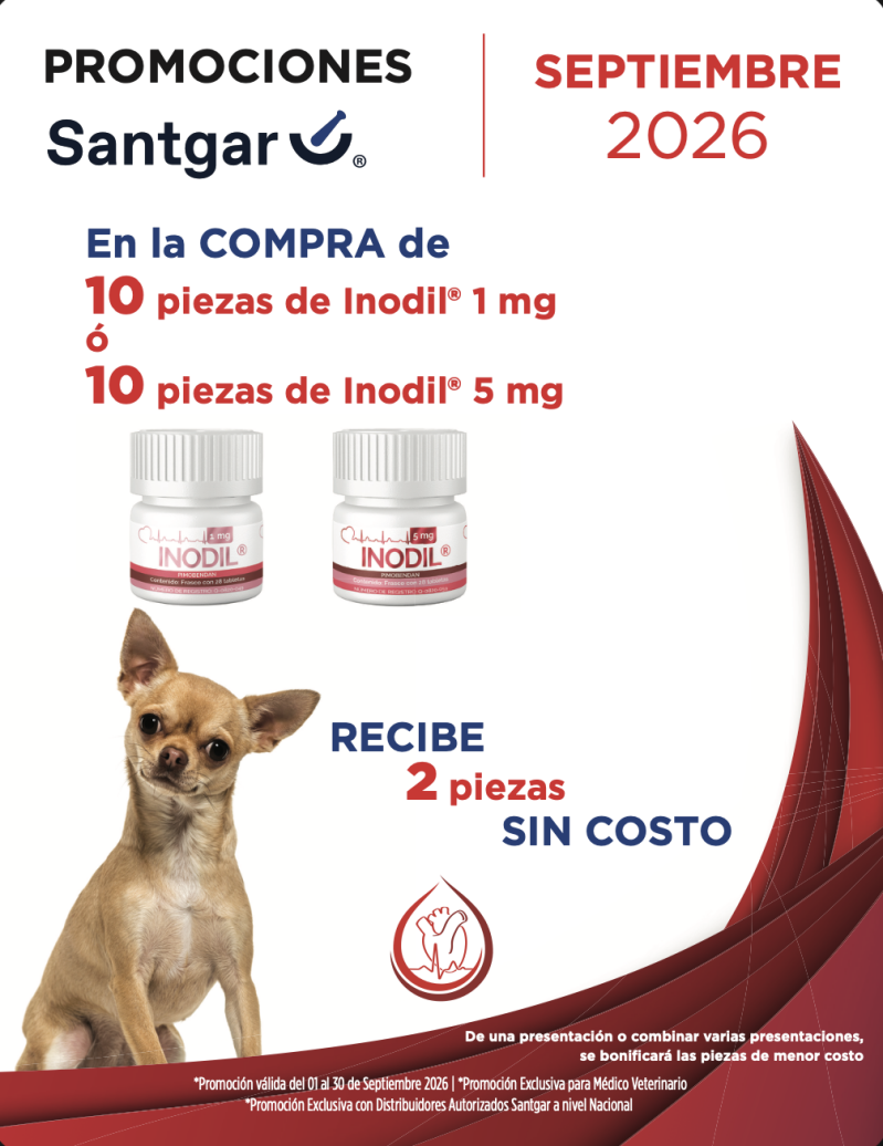 captura-de-pantalla-2026-09-03-a-la-s-2-55-07-a-m-standard.png