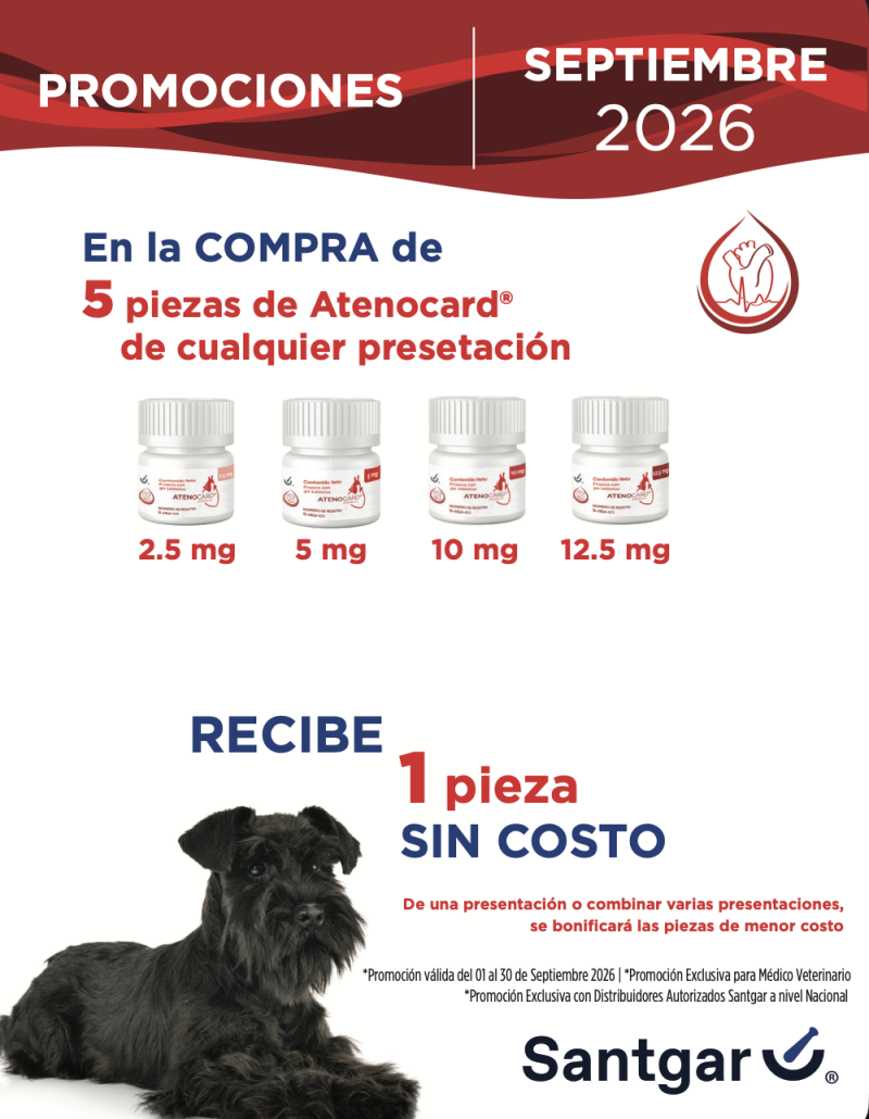 captura-de-pantalla-2026-09-03-a-la-s-2-55-15-a-m-standard.png