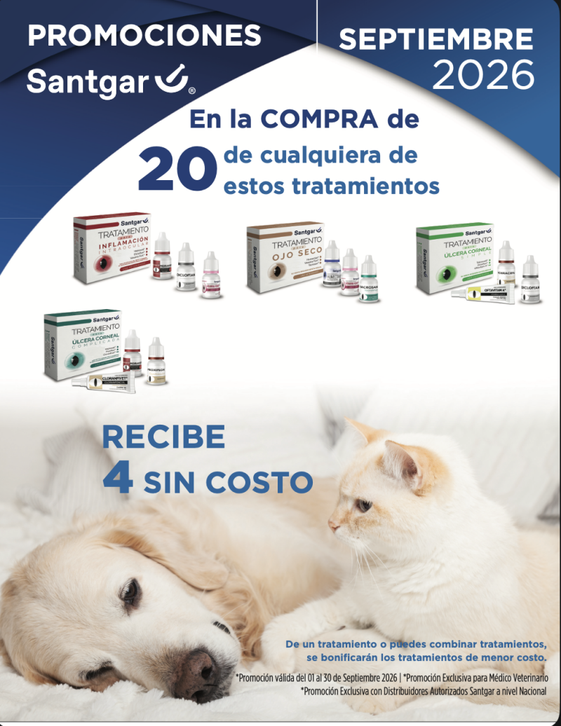 captura-de-pantalla-2026-09-03-a-la-s-2-55-25-a-m-standard.png