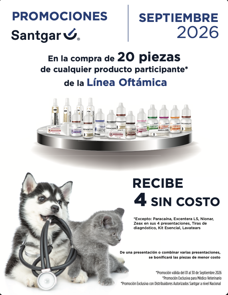 captura-de-pantalla-2026-09-03-a-la-s-2-55-31-a-m-standard.png