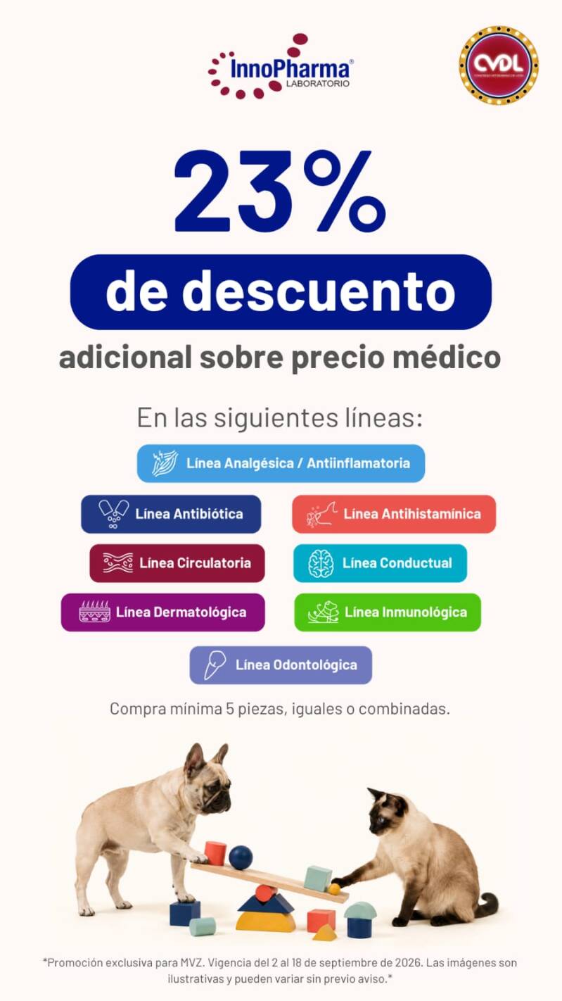 whatsapp-image-2026-09-02-at-08-20-23-2-standard.jpg
