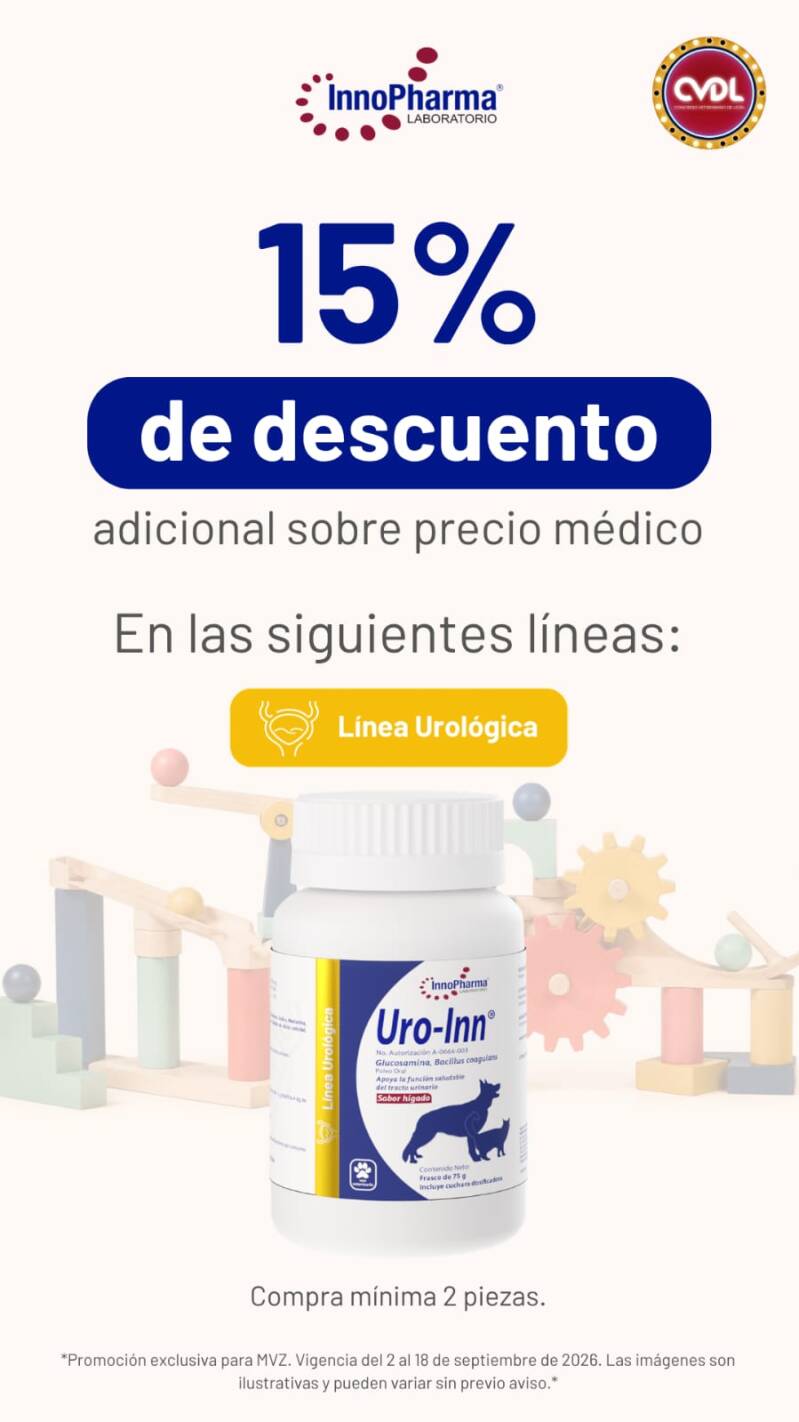 whatsapp-image-2026-09-02-at-08-20-23-4-standard.jpg