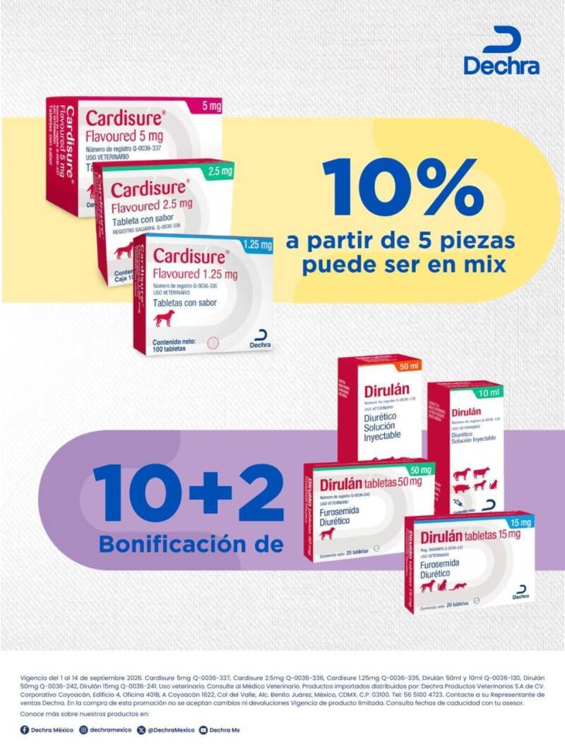 whatsapp-image-2026-09-02-at-08-21-30-2-standard.jpg