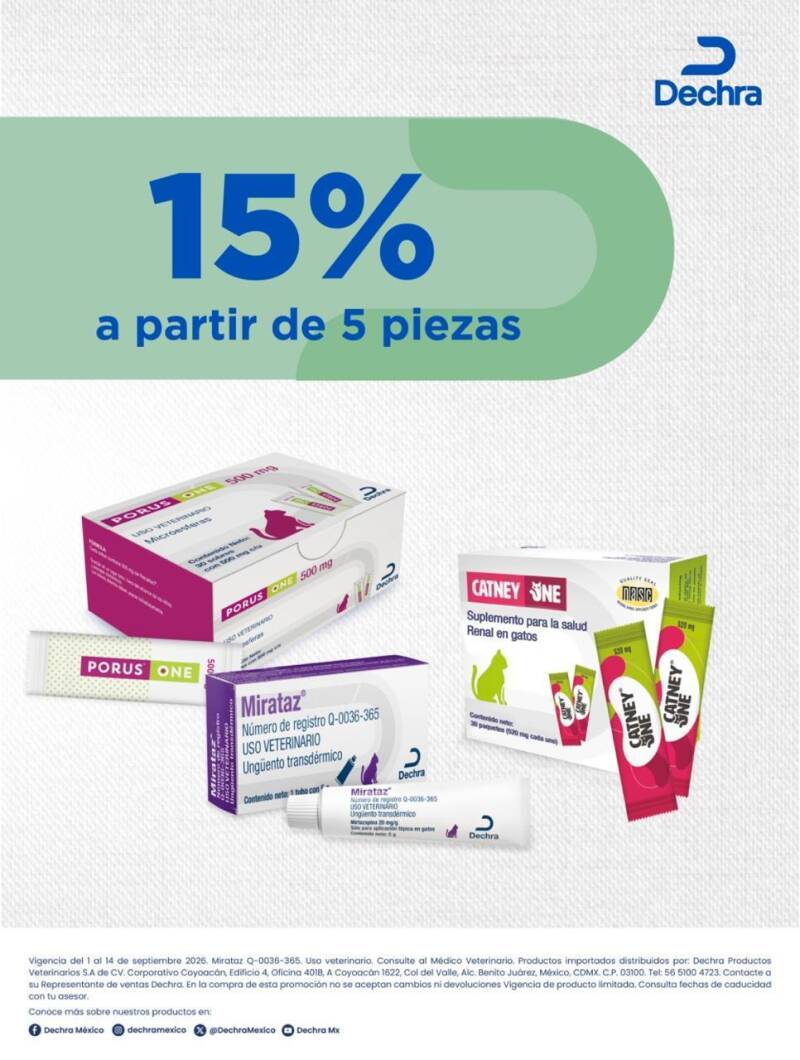 whatsapp-image-2026-09-02-at-08-21-32-standard.jpg