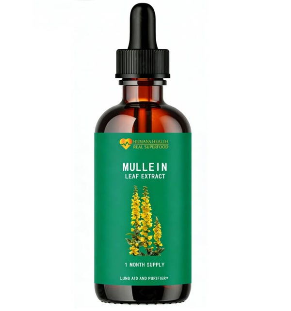 Mullein Extract (met mint)