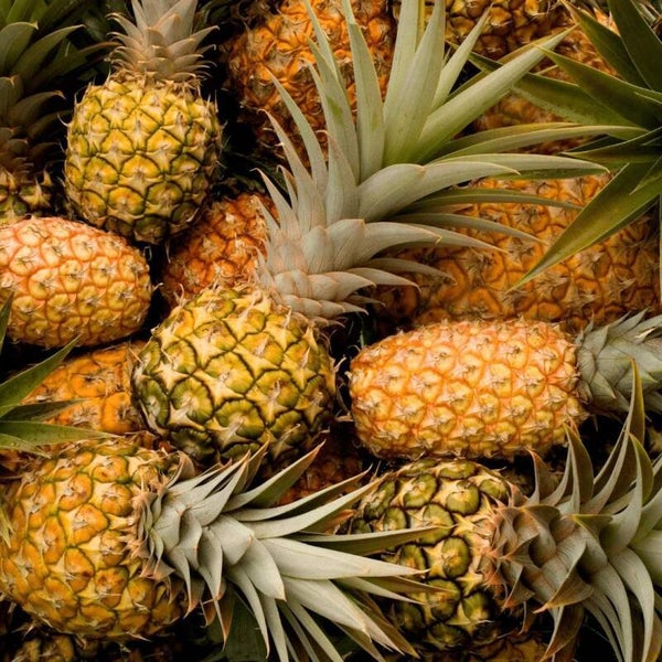 Fondants parfumés ANANAS