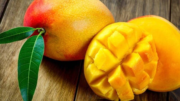 Fondants parfumés MANGUE
