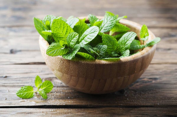 Fondants parfumés MENTHE
