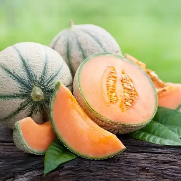 Fondants parfumés MELON