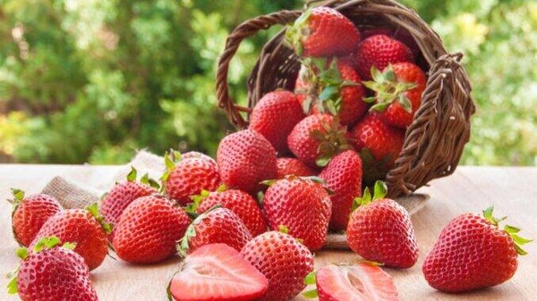 Fondants parfumés FRAISE