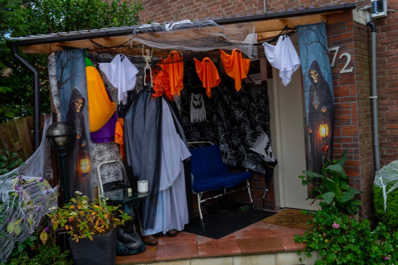 dsc01244-standard.jpg