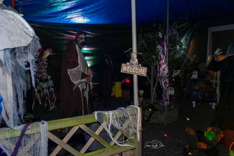 dsc01649-standard.jpg
